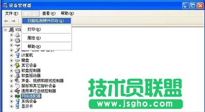 �o���W����