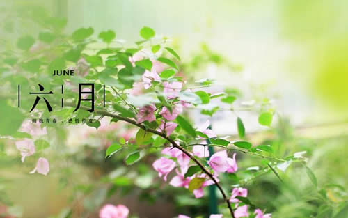 ������ÈDƬ