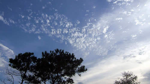 ������ÈDƬ