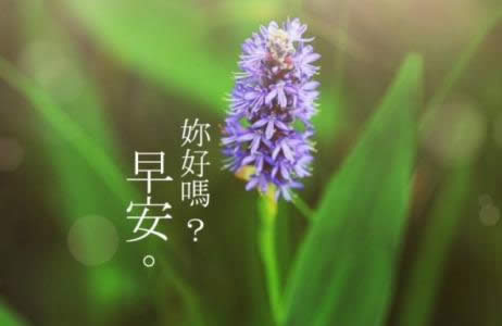 ΢������Ȧ�簲���Z�DƬ