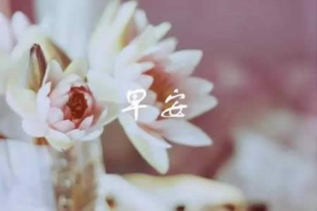 ΢������Ȧ�簲���Z�DƬ