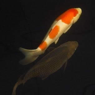 �\���^��