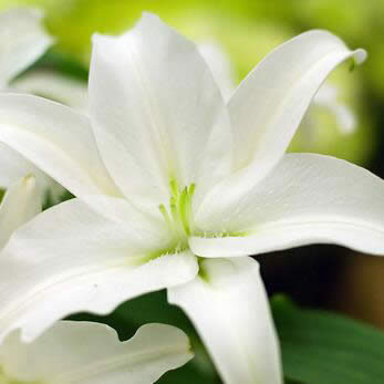 Ů����ʲô΢���^��ã��m��Ů��ʹ�õ�΢���^��_΢��