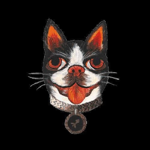 ����ף���Z�ӑB(t��i)�DƬ