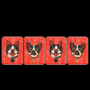 ����ף���Z�ӑB(t��i)�DƬ