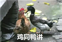 ���u�����