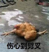 ���u�����