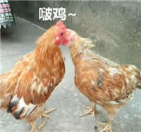 ���u�����