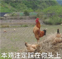 �u������