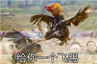 �u������