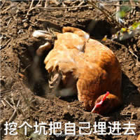 �u������