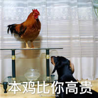 �u������