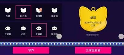 qq���g����