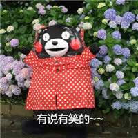 �ܱ��ܸ�Ц���ֈDƬ