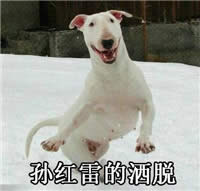 ����ײĘ�������