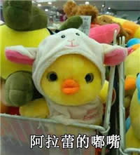 ����ײĘ�������