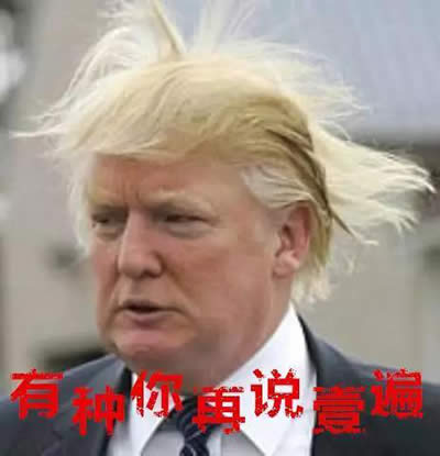 川普和希拉里表情包 川普和希拉里表情包