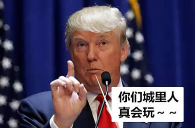 川普和希拉里表情包 川普和希拉里表情包