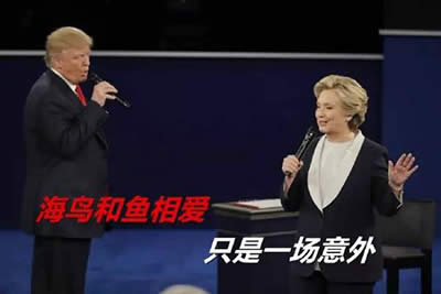 ���պ�ϣ��������