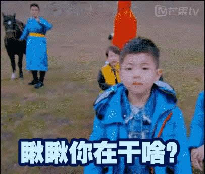 安吉表情包 安吉表情包