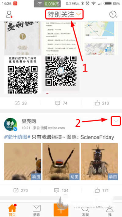 ����΢��