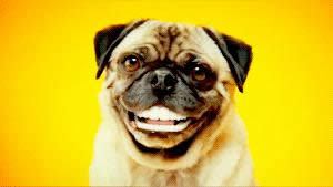 ΢�����˼t��