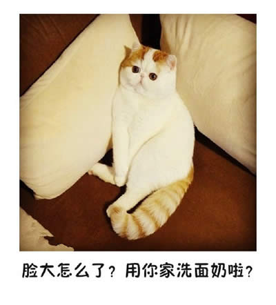 ؈������