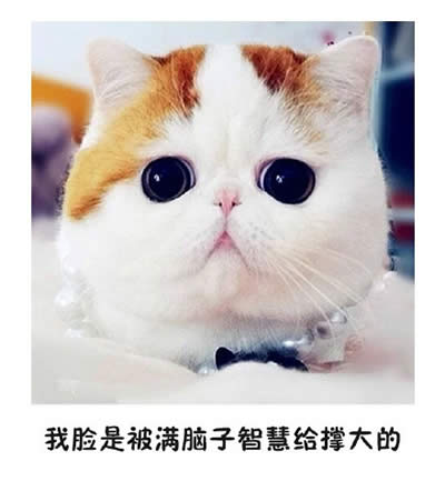 ؈������