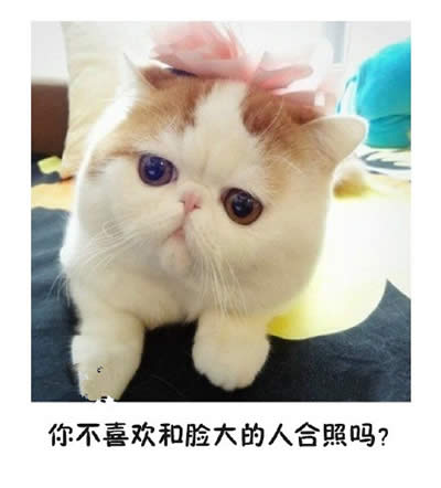 ؈������