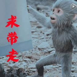 青云志小灰表情包 青云志小灰表情包