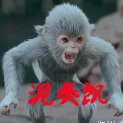 青云志小灰表情包 青云志小灰表情包