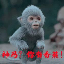 青云志小灰表情包 青云志小灰表情包