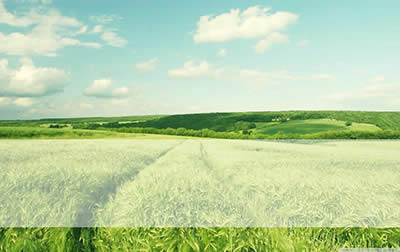 ��ô����׌PPT�����@ʾ