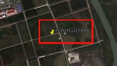 �ȸ�؈D������