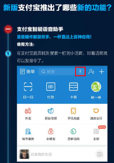 ֧���������Z������