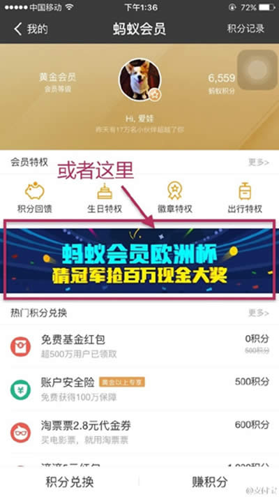 ֧�����W�ޱ�