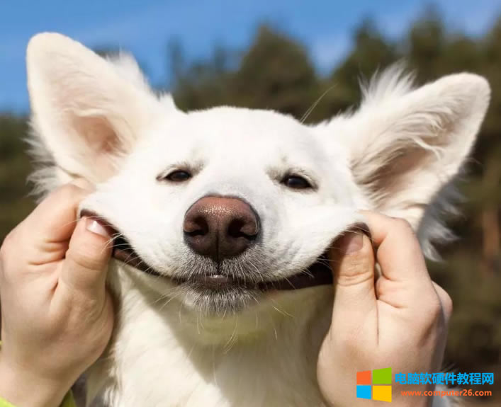 ��X��ӡ��ʲô�����F�y�a����ʲôԭ����