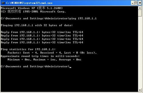 ��ӡ�Cping����