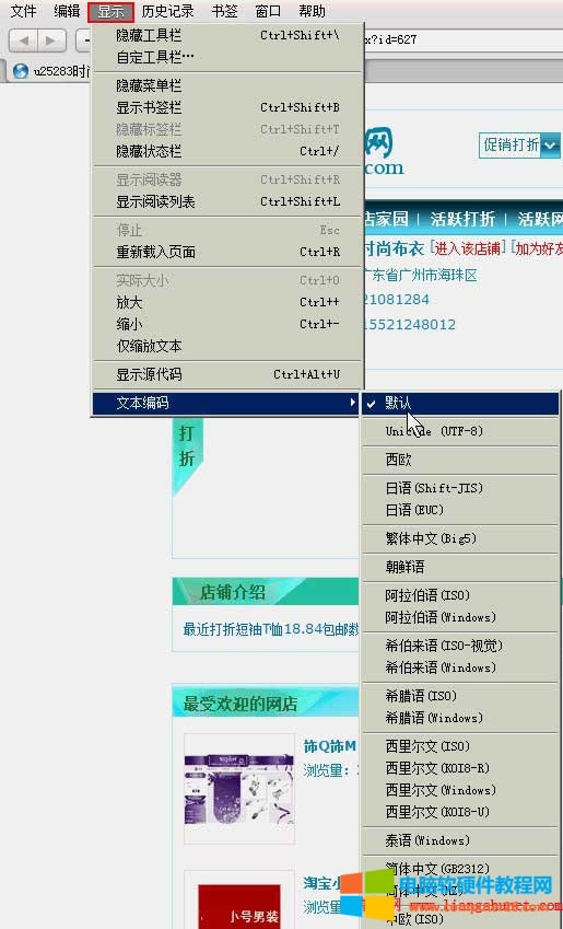 Safari(蘋果)網(wǎng)站出現(xiàn)亂碼