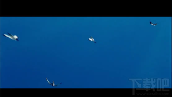 800�g�[����ô�� 800�֙C�g�[��ʹ���u�y