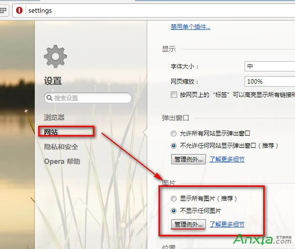 opera瀏覽器怎么設(shè)置不顯示圖片,opera瀏覽器設(shè)置不顯示圖片,opera瀏覽器,opera瀏覽器指向的顯示圖片,opera瀏覽器不顯示任何圖片
