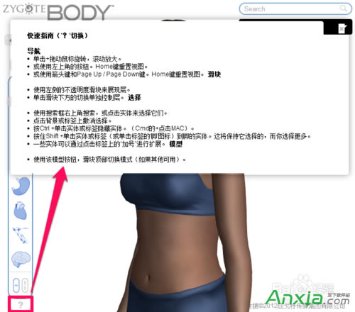 谷歌,谷歌人體瀏覽器,谷歌人體瀏覽器怎么用