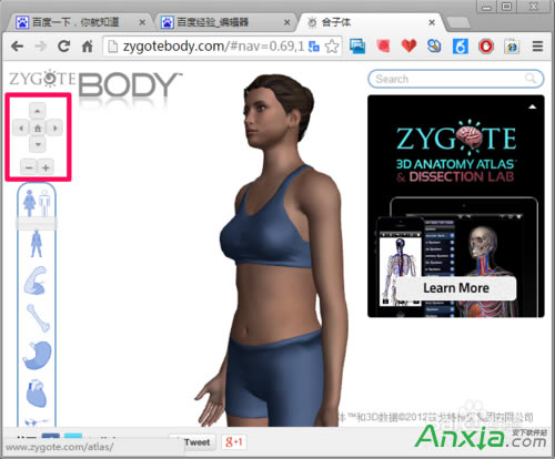 谷歌,谷歌人體瀏覽器,谷歌人體瀏覽器怎么用
