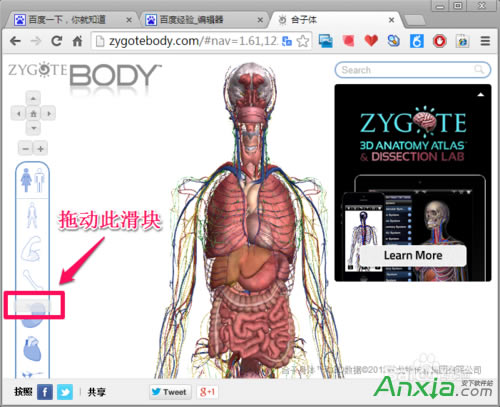 谷歌,谷歌人體瀏覽器,谷歌人體瀏覽器怎么用