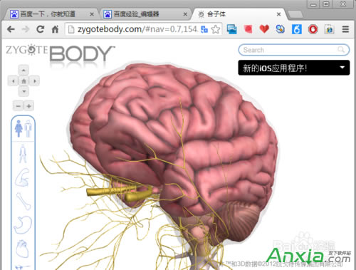 谷歌,谷歌人體瀏覽器,谷歌人體瀏覽器怎么用