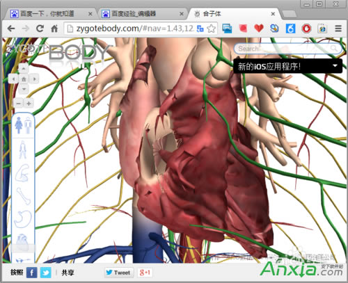 谷歌,谷歌人體瀏覽器,谷歌人體瀏覽器怎么用