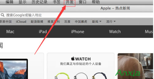 �O��Safari�g�[����δ��_�{ʽdevelop