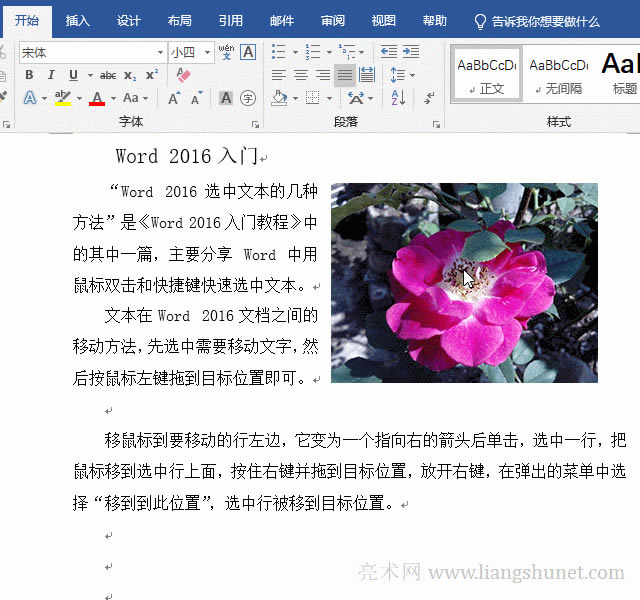 Word圖片隨文字移動