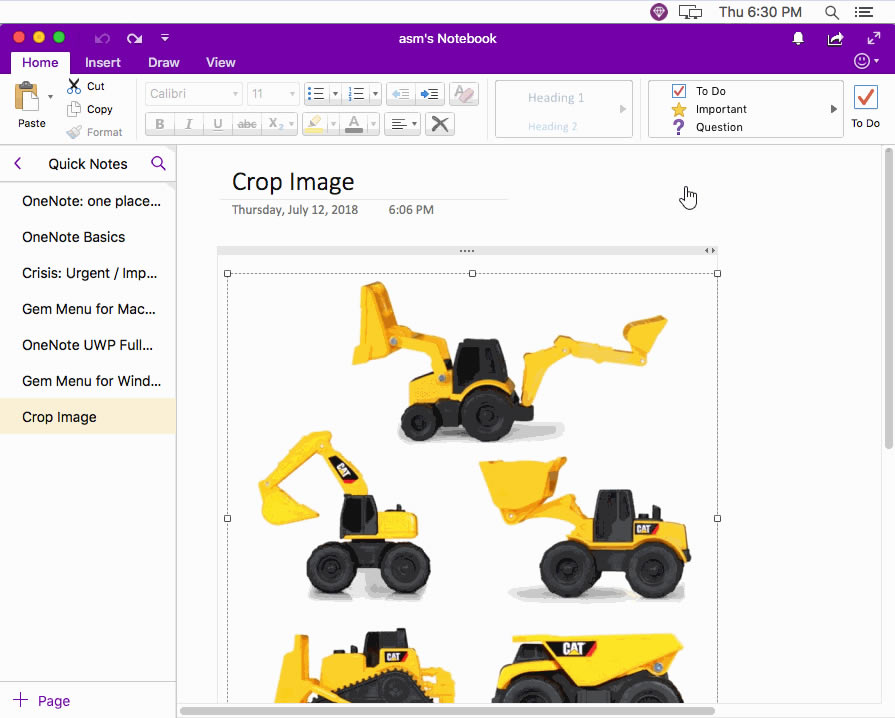 ʹ���䌚�ˆ���Ĳü�DƬ���ܣ��� Mac OneNote ��ĈDƬ�M�в鿴�����á�