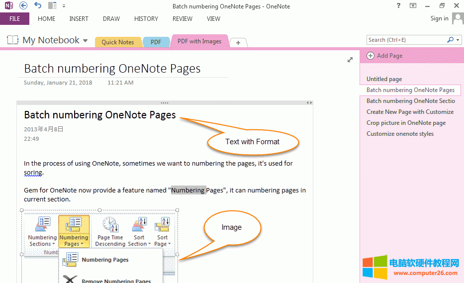 PDF �� OneNote ���Ը�ʽ���ı��͈DƬ�@ʾ